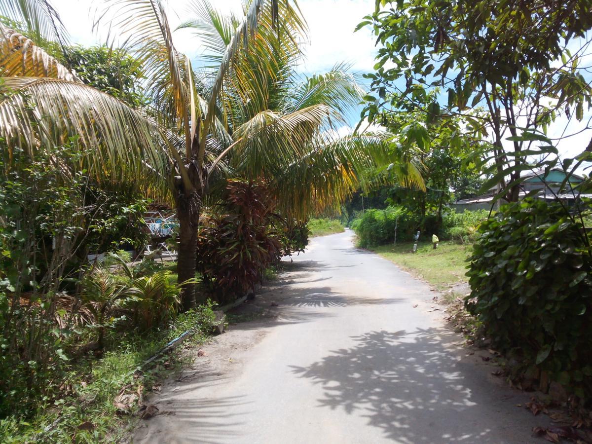 Pandan Beach Homestay Kampong Pandan Kültér fotó